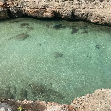Nyaraló Lilla *